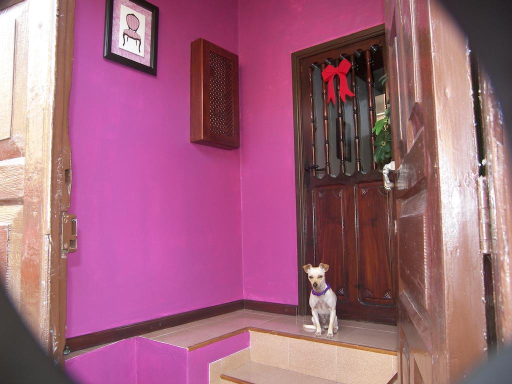 Casa Luly Villa ลาโอโรตาวา ภายนอก รูปภาพ